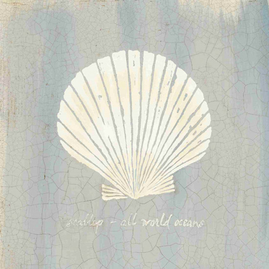 Compatible Nature morte Jahrriesnge  for shell-lpf00175 