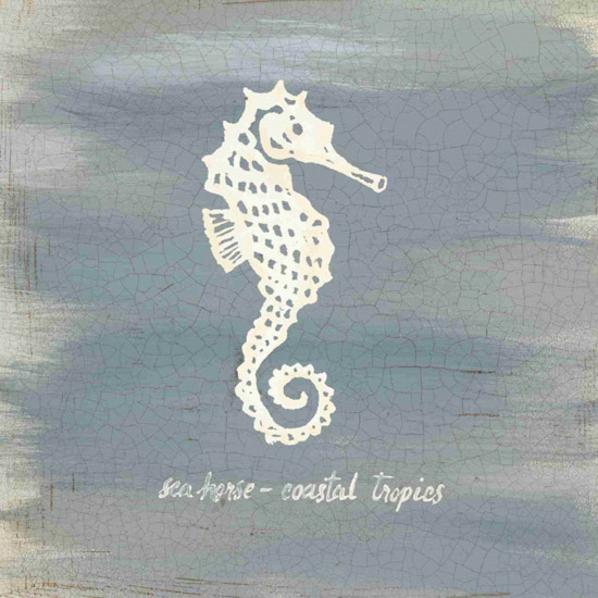 Compatible Nature morte Jahrriesnge  for seahorse-lpf00183 