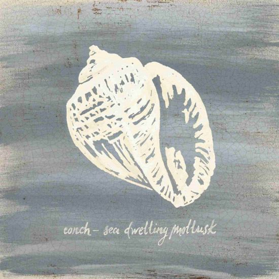 Compatible Nature morte Jahrriesnge  for conch-lpf00184 