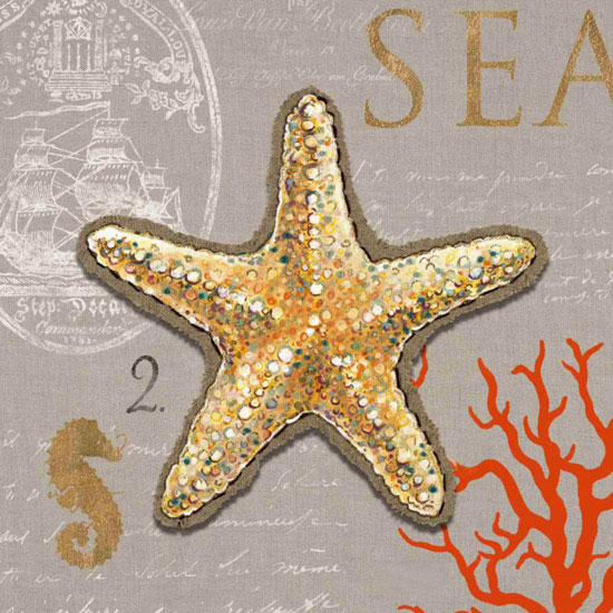 Compatible Nature morte Jahrriesnge  for starfish-lpf00188 