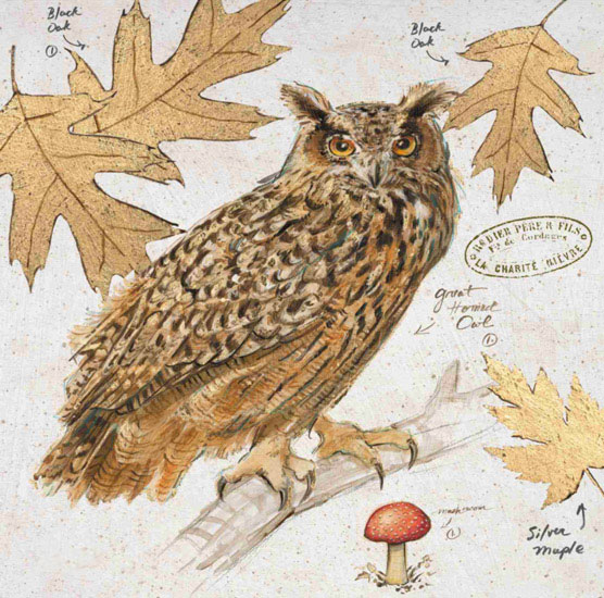 Compatible Nature morte Jahrriesnge  for owl-lpf00193 