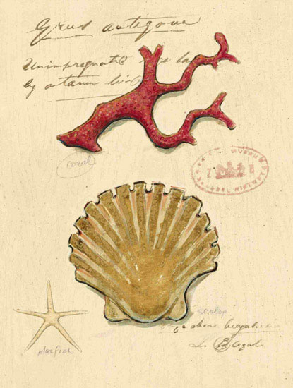Compatible Nature morte Jahrriesnge  for shell-lpf00196 