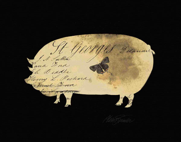 Compatible Nature morte Jahrriesnge  for pig-lpf00210 