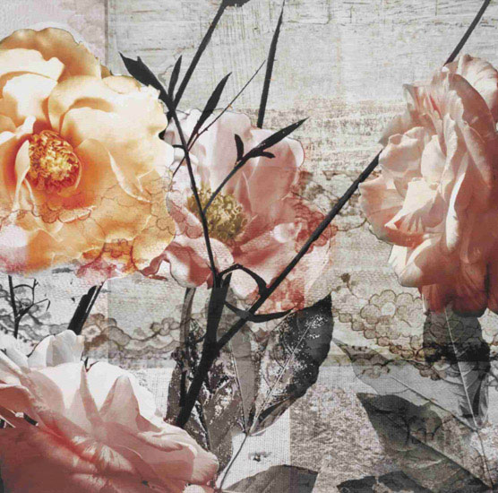 Compatible Floral Jahrriesnge  for flower-lpf00559 