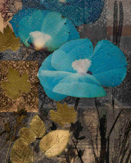 Compatible Floral Jahrriesnge  for flower-lpf00569 