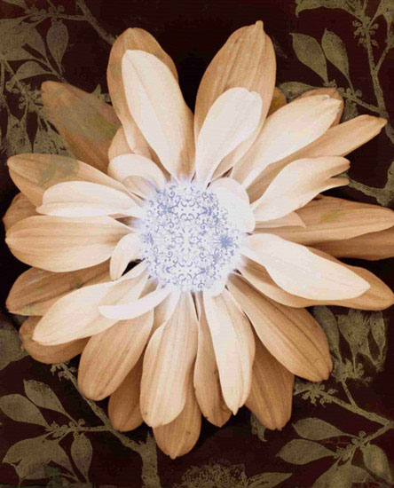 Compatible Floral Jahrriesnge  for flower-lpf00571 