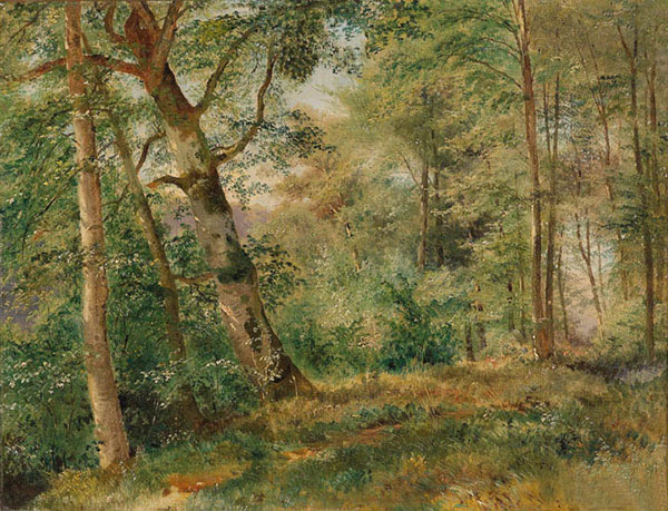 Compatible Paysage Jahrriesnge  for tree-lpf01471 