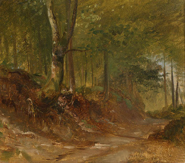 Compatible Paysage Jahrriesnge  for forest-lpf01549 