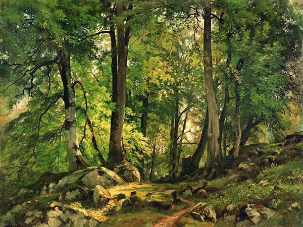 Compatible Paysage Jahrriesnge  for tree-lpf01685 