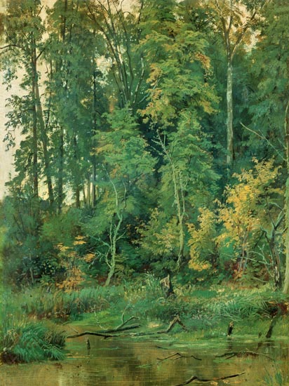 Compatible Paysage Jahrriesnge  for tree-lpf01686 