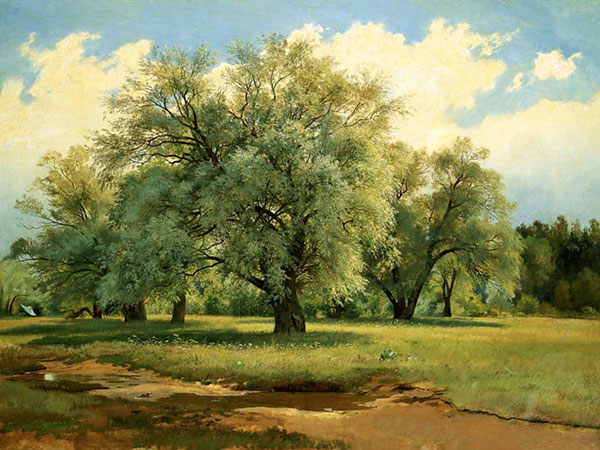 Compatible Paysage Jahrriesnge  for tree-lpf01687 