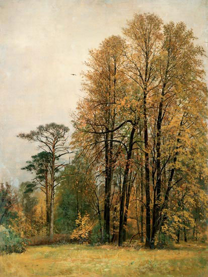 Compatible Paysage Jahrriesnge  for tree-lpf01699 