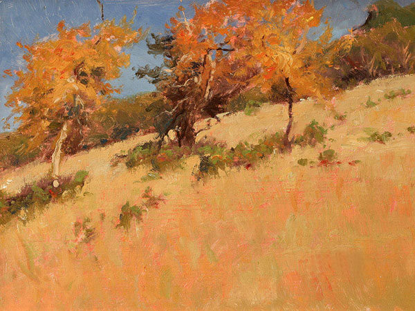 Compatible Paysage Jahrriesnge  for tree-lpf02032 