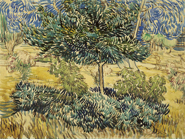 Compatible Paysage Jahrriesnge  for tree-lpf02474 