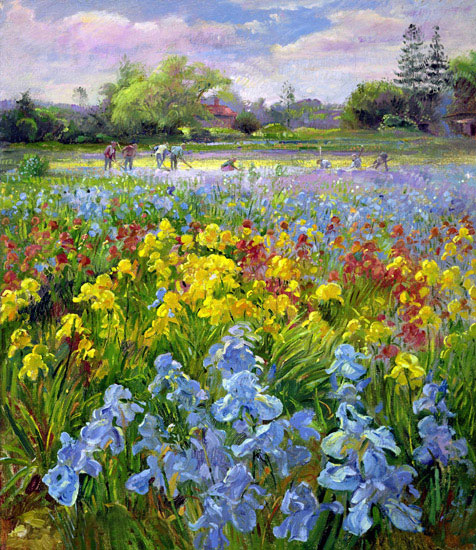 Compatible Paysage Jahrriesnge  for flower-field-lpf02507 