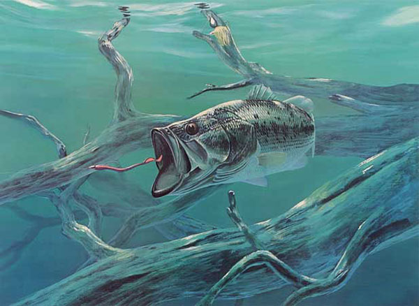 Compatible Animaux Jahrriesnge  for fish-lpf02522 