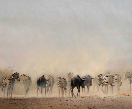 Compatible Animaux Jahrriesnge  for zebra-lpf02534 