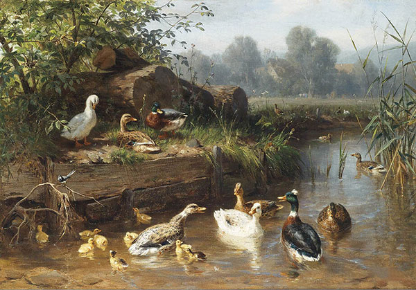 Compatible Animaux Jahrriesnge  for duck-lpf02588 