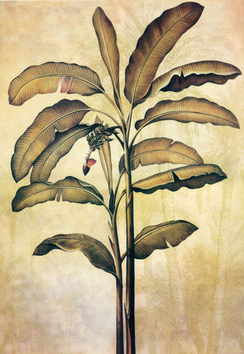 Compatible Floral Jahrriesnge  for flower lpf04433 