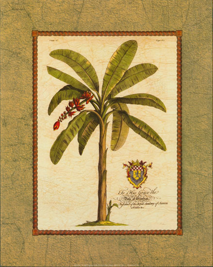 Compatible Floral Jahrriesnge  for flower lpf04436 