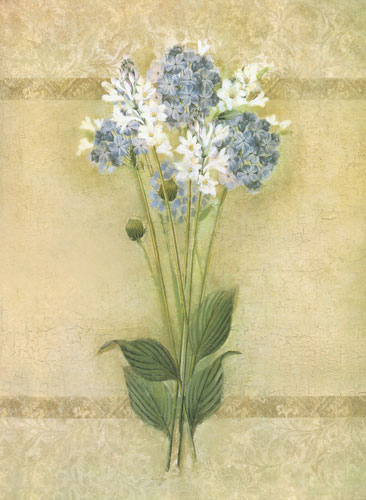 Compatible Floral Jahrriesnge  for flower lpf04448 