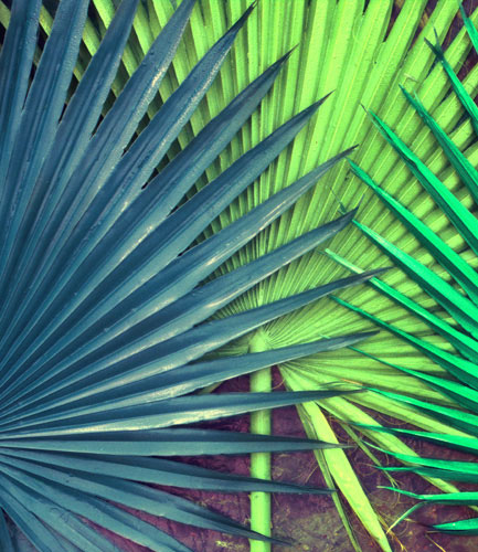 Compatible Floral Jahrriesnge  for pu kui lpf04590 