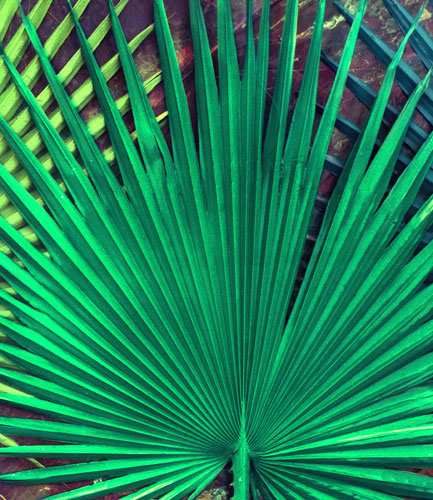 Compatible Floral Jahrriesnge  for pu kui lpf04591 