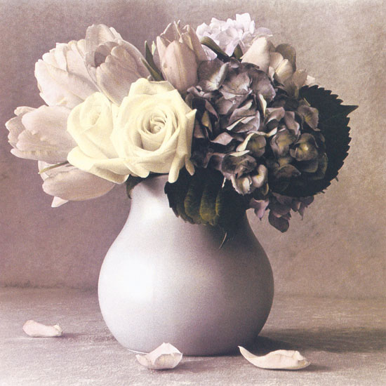 Compatible Floral Jahrriesnge  for flowers lpf04614 