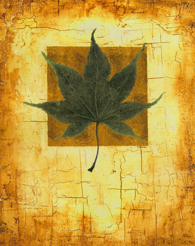 Compatible Floral Jahrriesnge  for leaf lpf04633 