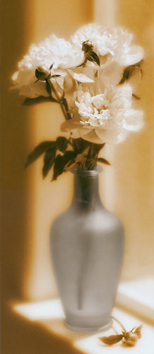 Compatible Floral Jahrriesnge  for flower lpf04687 