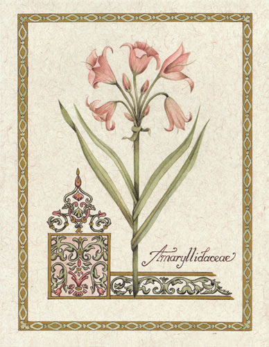 Compatible Floral Jahrriesnge  for flower lpf04735 