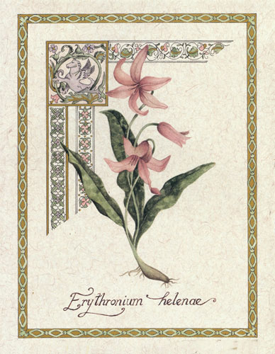 Compatible Floral Jahrriesnge  for flower lpf04736 