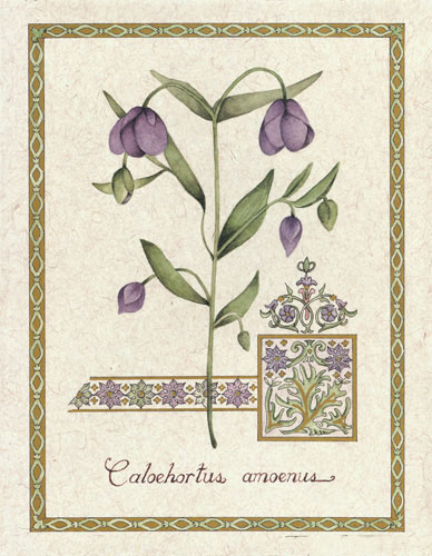 Compatible Floral Jahrriesnge  for flower lpf04737 