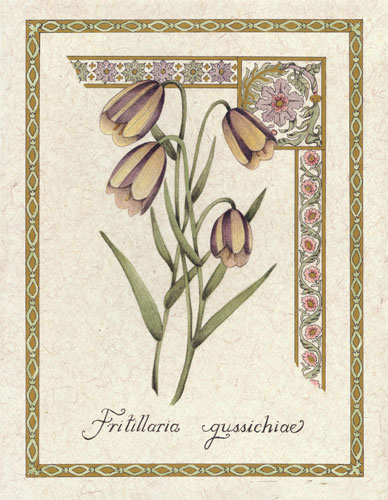 Compatible Floral Jahrriesnge  for flower lpf04738 