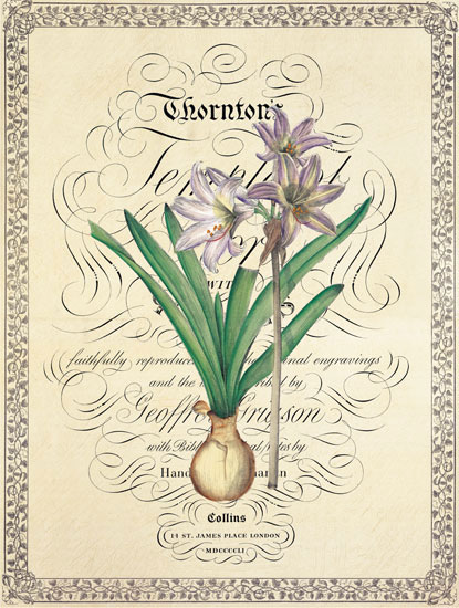 Compatible Floral Jahrriesnge  for flower lpf04739 