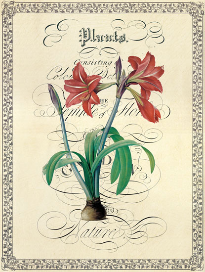 Compatible Floral Jahrriesnge  for flower lpf04740 