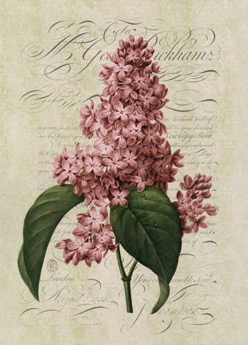 Compatible Floral Jahrriesnge  for flowers lpf04757 