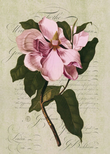 Compatible Floral Jahrriesnge  for flowers lpf04758 