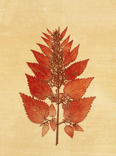 Compatible Floral Jahrriesnge  for flowers lpf04759 