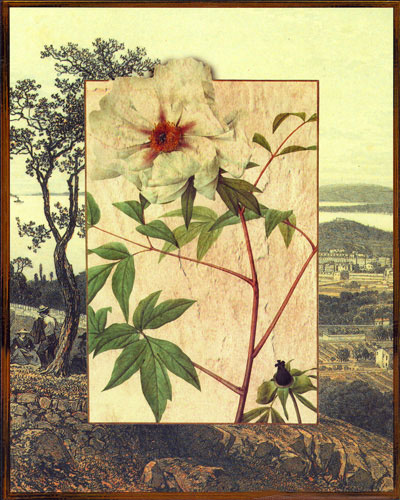 Compatible Floral JAHRRIESNGE  for flowers lpf04827 