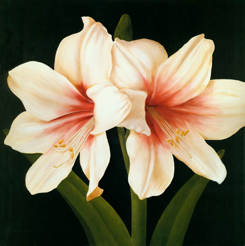 Compatible Floral Jahrriesnge  for flowers lpf04951 