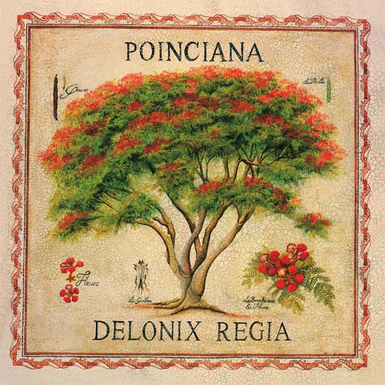 Compatible Floral Jahrriesnge  for flowers lpf04958 