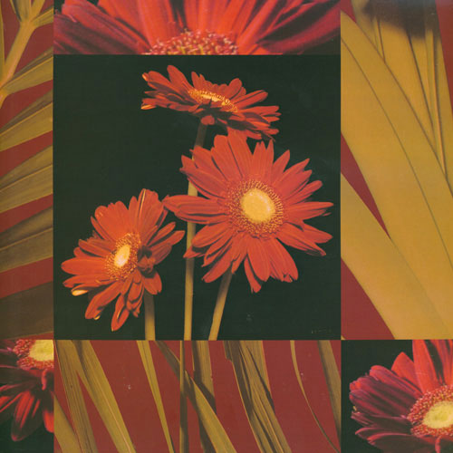 Compatible Floral JAHRRIESNGE  for leaves lpf05008 