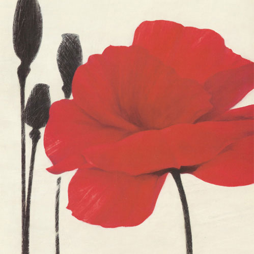 Compatible Floral Jahrriesnge  for flowers lpf05172 