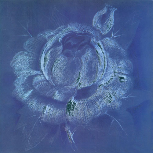 Compatible Floral Jahrriesnge  for flowers lpf05269 