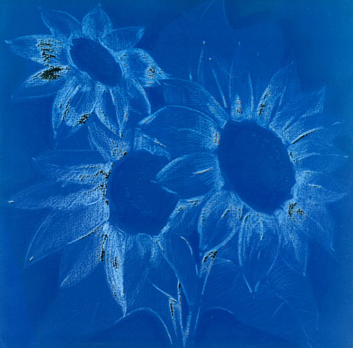 Compatible Floral Jahrriesnge  for flowers lpf05271 