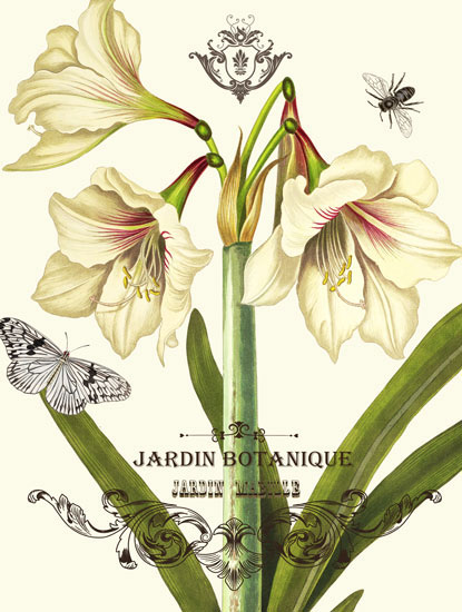 Compatible Floral Jahrriesnge  for flowers-lpf06634 