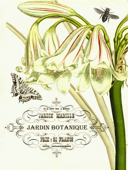 Compatible Floral Jahrriesnge  for flowers-lpf06635 