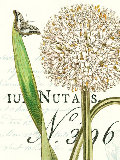 Compatible Floral Jahrriesnge  for flowers-lpf06637 