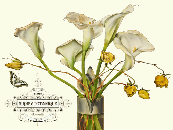 Compatible Floral Jahrriesnge  for flowers-lpf06640 